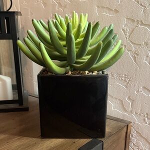 Artificial Succulent Plant in Black Square Planter - Green